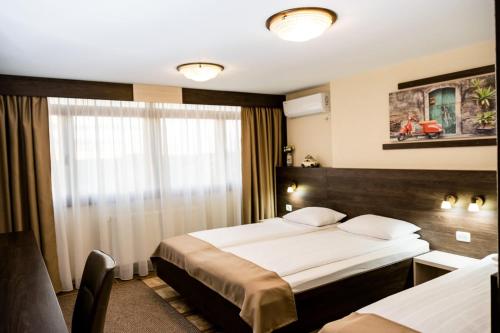 boutique hotels in Timiş