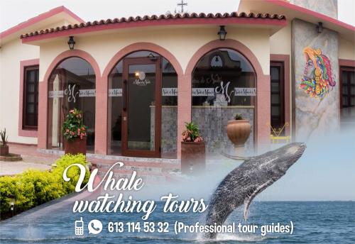 boutique hotels in Baja California Sur
