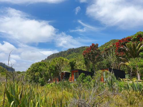 boutique hotels in Westland District