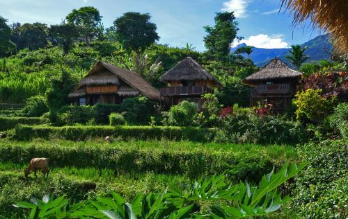 boutique hotels in West Nusa Tenggara