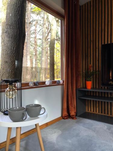 boutique hotels in Salacgrivas Municipality