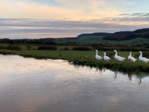 boutique hotels in North Yorkshire