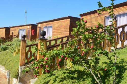 boutique hotels in Dakhla