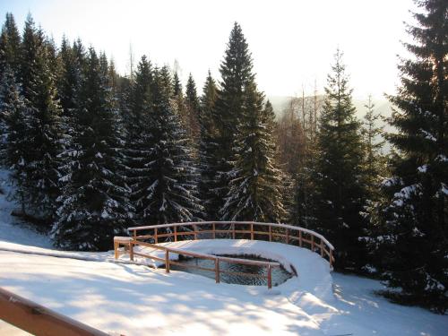 boutique hotels in Primiero