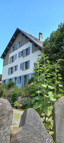 boutique hotels in Sobrarbe