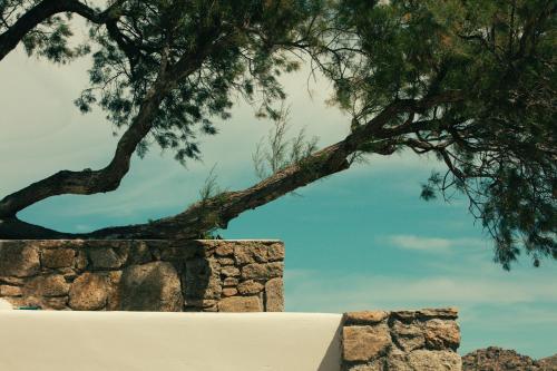 boutique hotels in Kalo Livadi