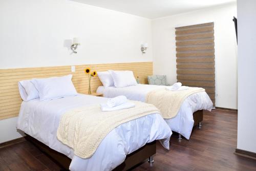 boutique hotels in Curicó