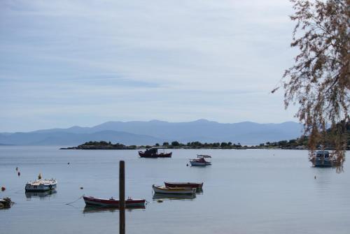 boutique hotels in Volos