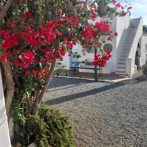 boutique hotels in Praia Verde