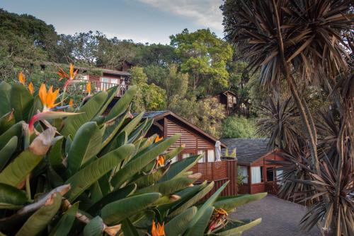 boutique hotels in Knysna