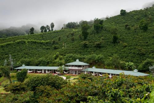 boutique hotels in Chiriqui