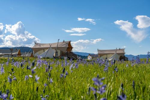 boutique hotels in West Yellowstone
