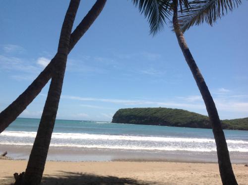 boutique hotels in Lesser Antilles