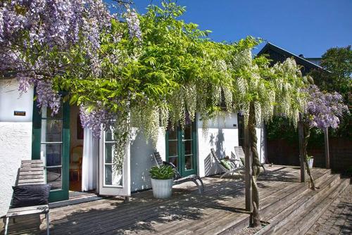 boutique hotels in Allinge