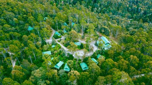 boutique hotels in Tasmania