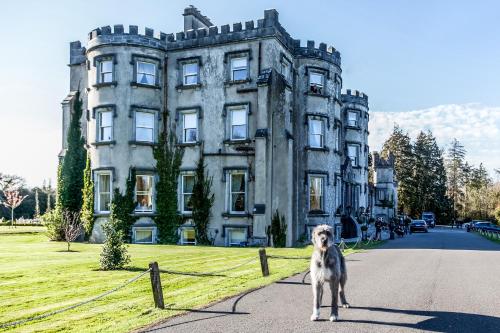 boutique hotels in Killorglin