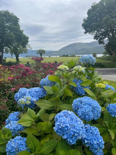 boutique hotels in Killorglin