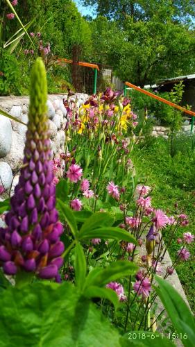 boutique hotels in Issyk Kul