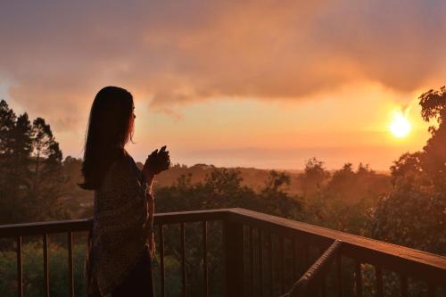 boutique hotels in Alajuela