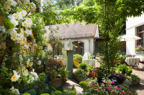 Saxon Elbeland Boutique Hotels