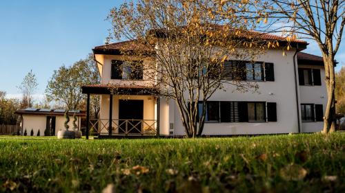 boutique hotels in Mureş