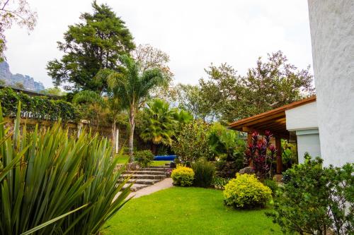 boutique hotels in Mexico Df