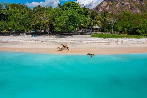 boutique hotels in Sumbawa