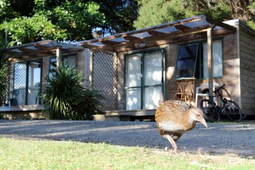 boutique hotels in Bay Of Islands