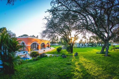 boutique hotels in Puerto Chicama