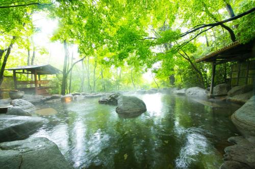 boutique hotels in Minamioguni