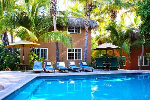 boutique hotels in Cabo San Lucas