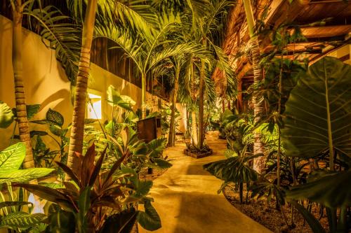 boutique hotels in Quintana Roo