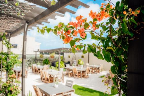 boutique hotels in Aruba