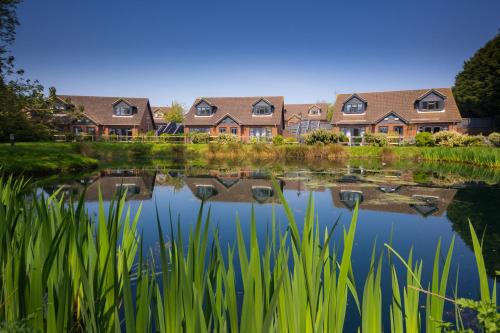boutique hotels in Ventnor