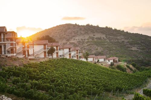 boutique hotels in Nicosia