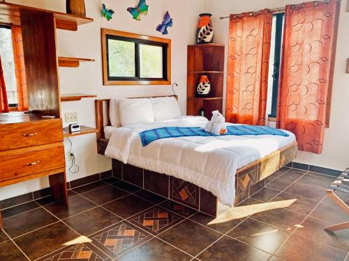 boutique hotels in Cayo