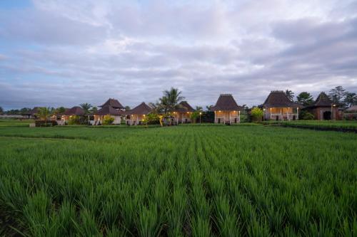 boutique hotels in Bangli