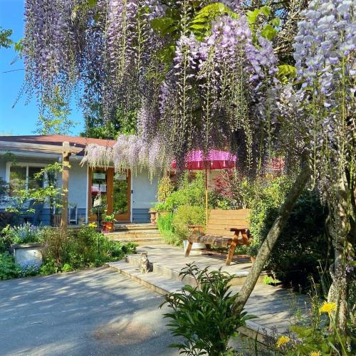 boutique hotels in Inside Passage