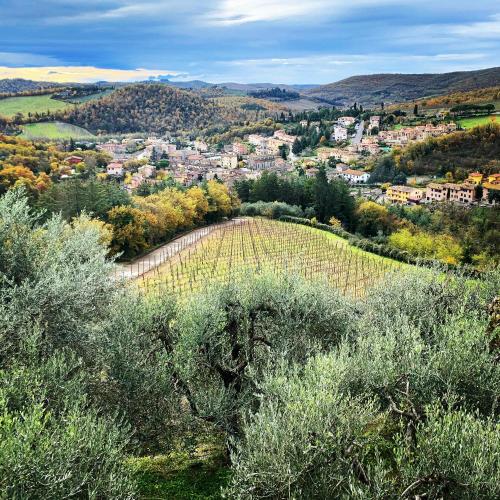 boutique hotels in Gaiole In Chianti