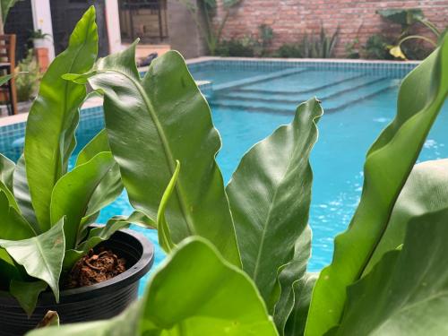 boutique hotels in Phu Quoc Island
