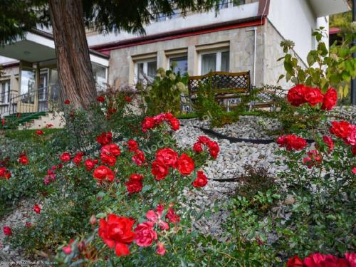 boutique hotels in Beskid Sądecki