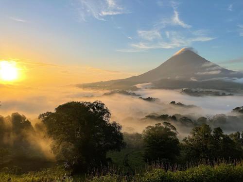 boutique hotels in Alajuela