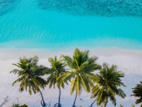 boutique hotels in Maldives