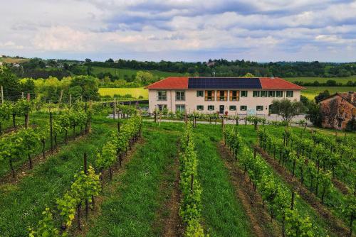 boutique hotels in Prosecco Area