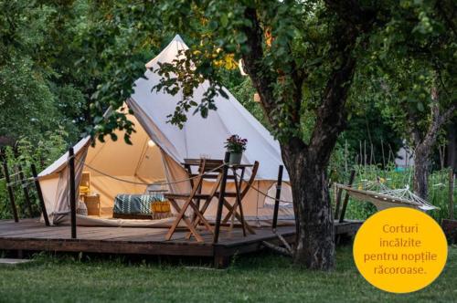 boutique hotels in Covasna
