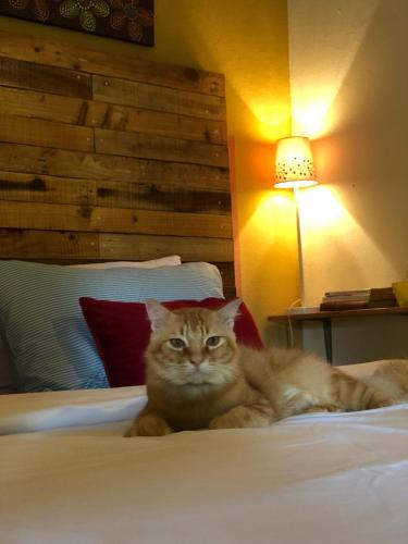boutique hotels in Langkawi