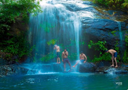 boutique hotels in Munnar