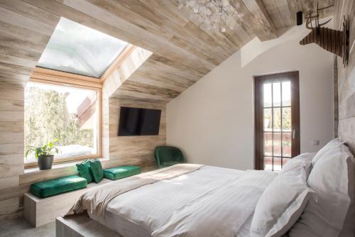 boutique hotels in Gorj