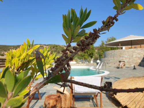 boutique hotels in Ermoupoli