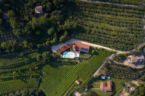 boutique hotels in Mezzane Di Sotto